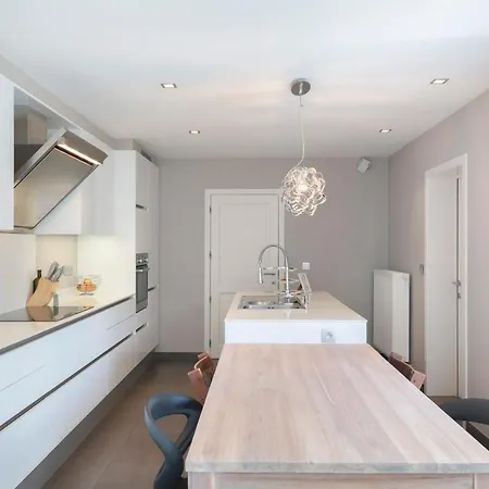 Ruime Woning Met Grote Omheinde Tuin * Hasselt